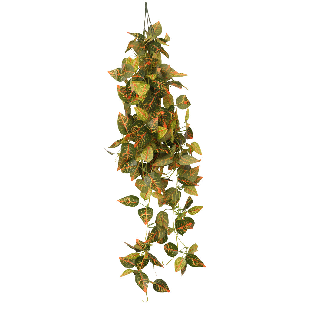 HabiStat Hanging Vine Plus