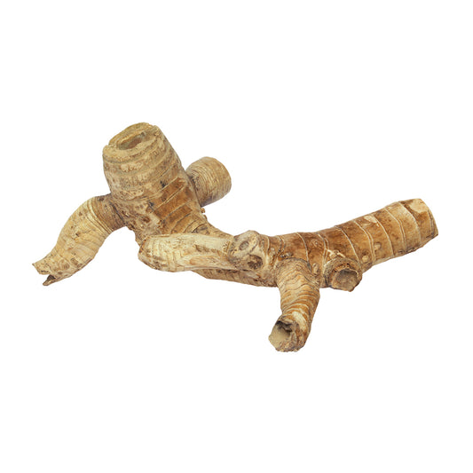 HabiStat Bamboo Root