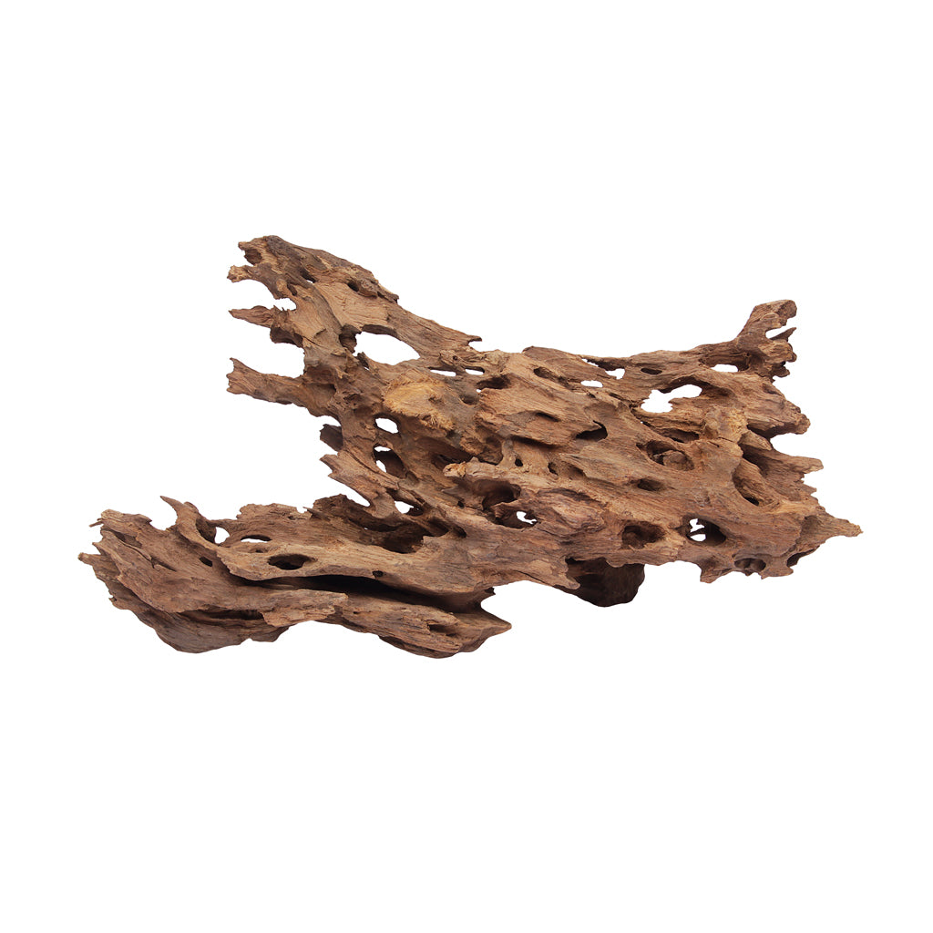 HabiStat Dragon Wood