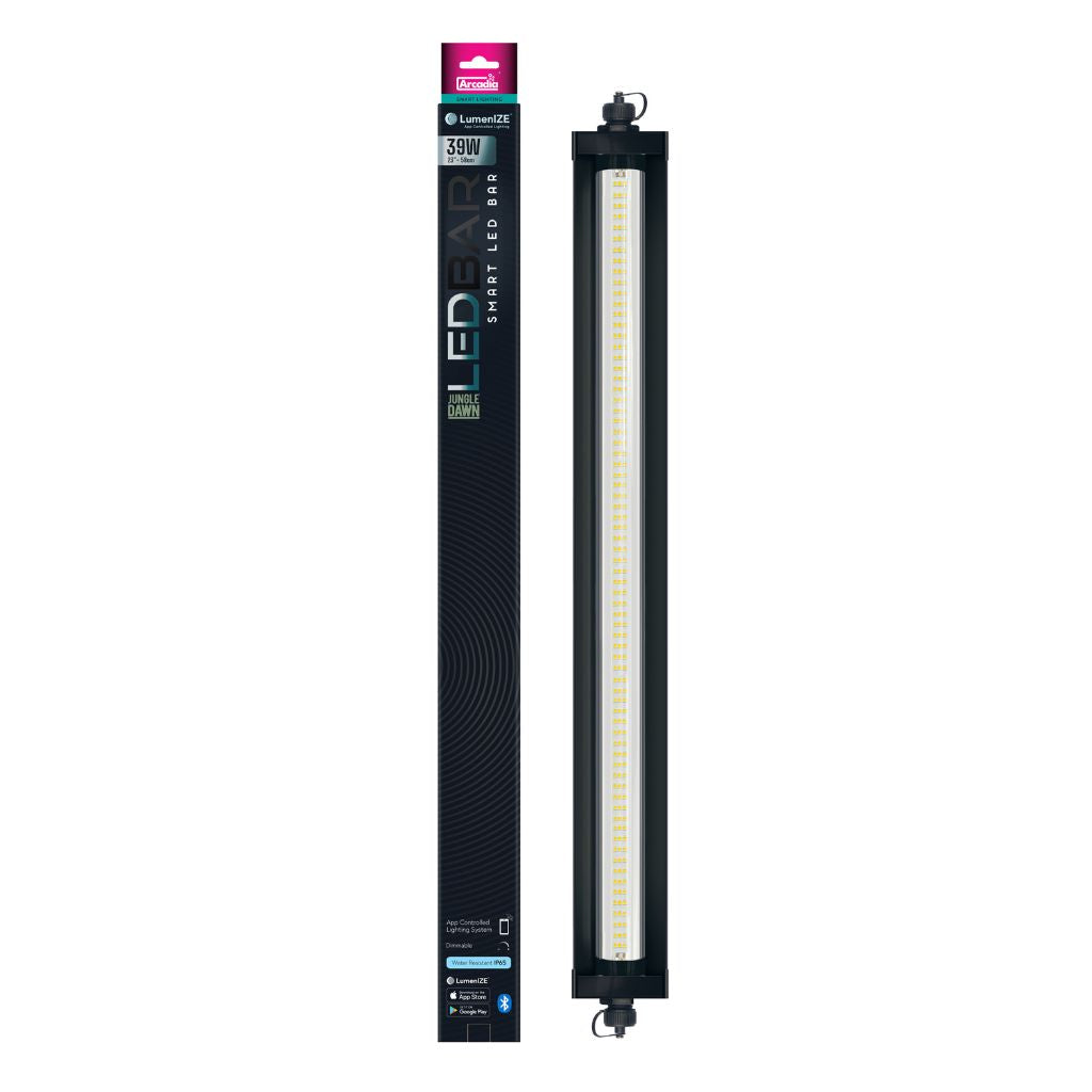 LumenIZE Jungle Dawn LED Bar - Bermondsey Exotics